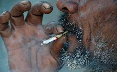 Araştırma: Sigaranın kalp hastalığı riski hâlâ yeterince bilinmiyor