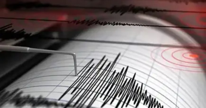 Yeni Zelanda'da 5,6 büyüklüğünde deprem