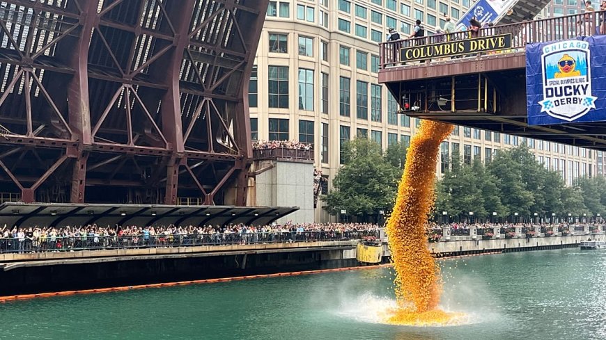 Chicago Nehri'nde 90 bin lastik ördek, bağış için yarıştı