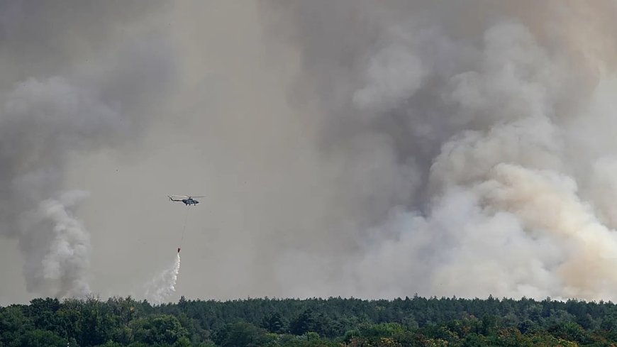 Aşırı sıcaklar Avrupa'yı kavuruyor: Orman yangınları hız kesmiyor, nehirlerde su seviyesi düşüyor