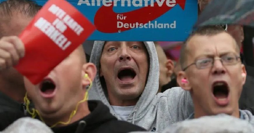 AfD, Almanya'nın doğu eyaletlerinde seçime önde giriyor. Ekonomistler ise endişeli