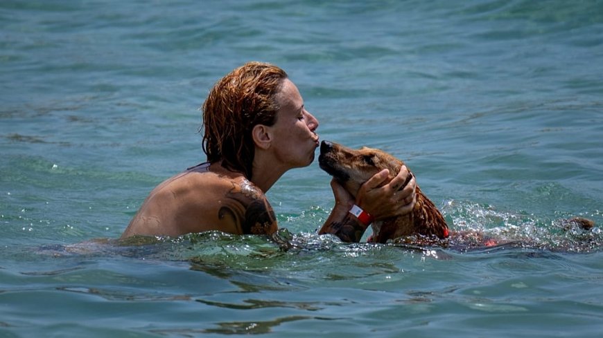 İspanya'nın köpekler için 2026 plaj haritası: Bu yaz evcil hayvanla deniz keyfi
