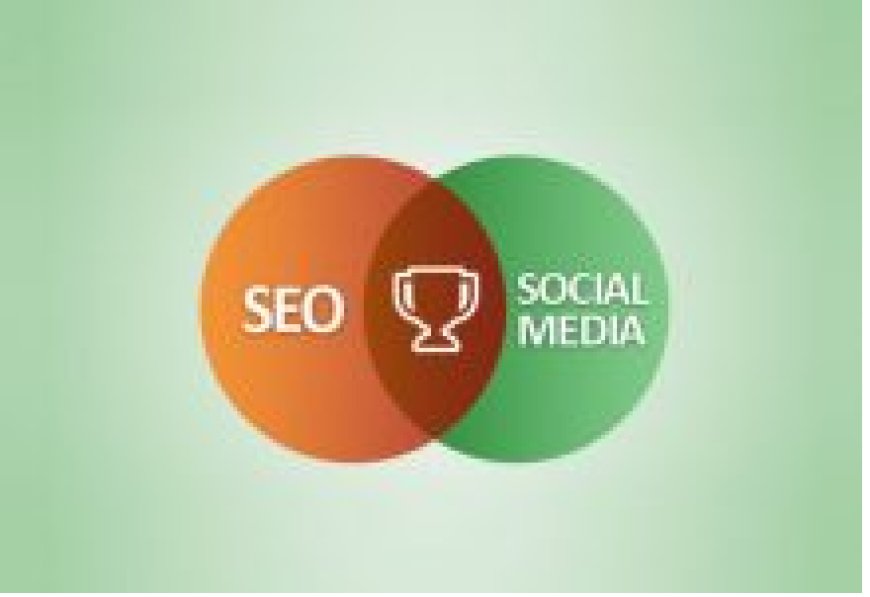 Sosyal Medya ve SEO