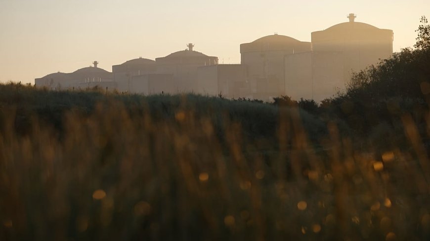 Fransa'daki Gravelines nükleer santralinde denizanaları üç reaktörü durdurdu