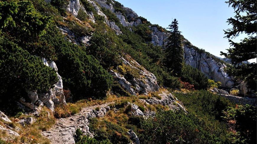 Lonely Planet'e göre: Avrupa'da sonbahar için en iyi üç yürüyüş seçildi