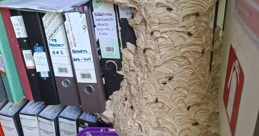 Ofisine döndü, gözlerine inanamadı. "Bundan hemen kurtulmam gerek"
