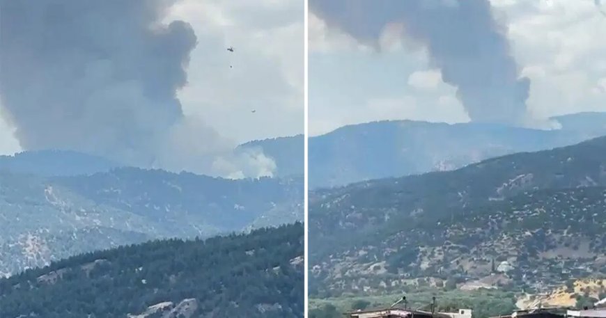 Aydın Kuyucak'ta orman yangını. Meteoroloji kritik saatlere dikkat çekti