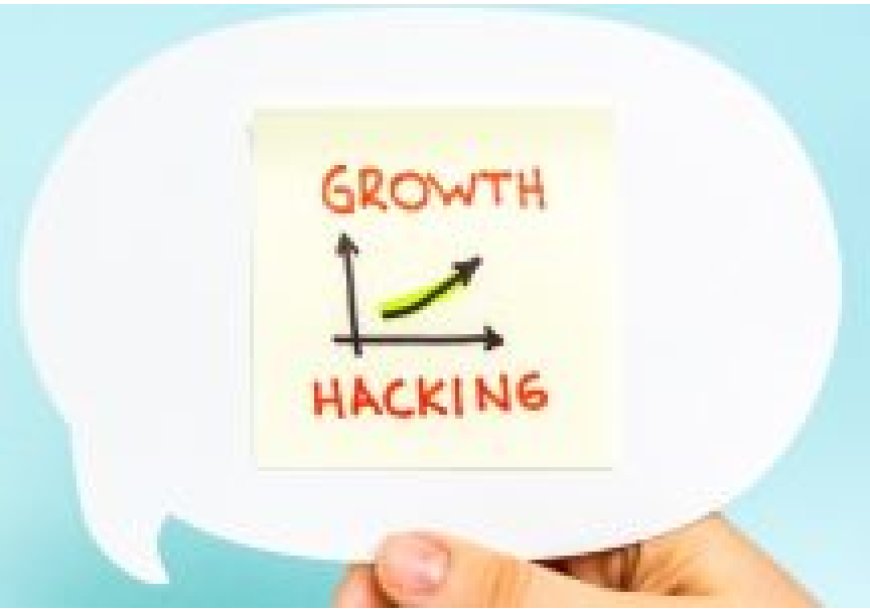 Growth Hacking Nasıl Yapılır?