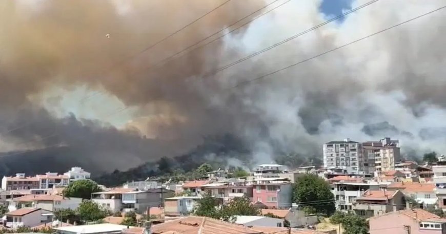 Balıkesir'de orman yangını. Alevler yerleşim yerine yaklaştı