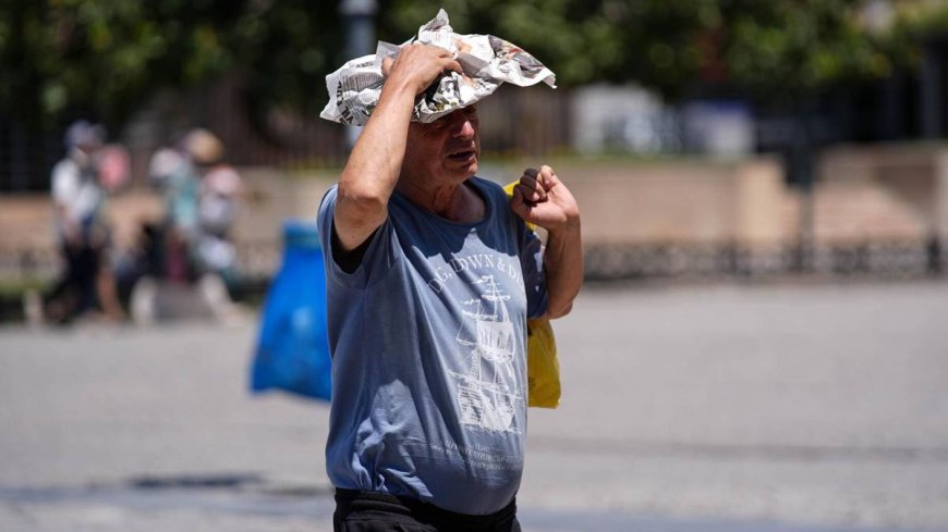 Almanya'da sıcak hava bilançosu ağırlaştı: Can kaybı 12 bin 500'e çıktı