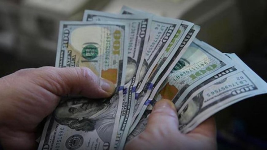 Alman devinden çarpıcı tahmin: Dolar 2027 gelmeden 53 lirayı görebilir!