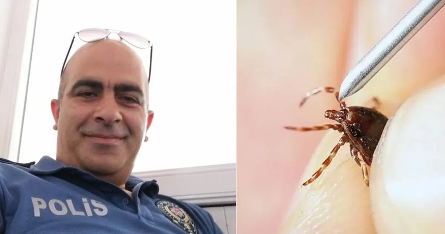 Kene bir can daha aldı