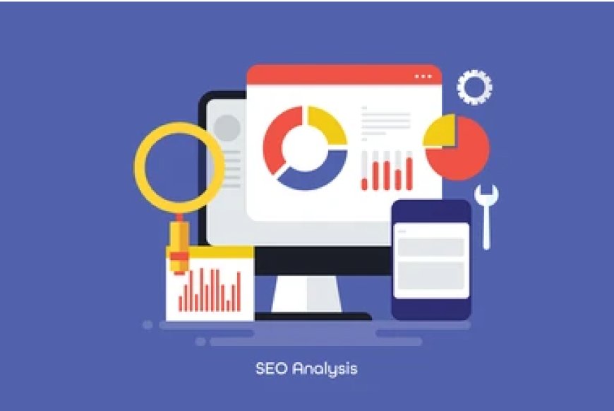 Site Boyutlarına göre SEO Analizi